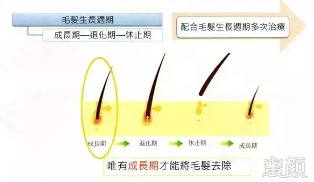 https://img.miyanlife.com/mnt/timg/181001/1220251Z1-2.jpg