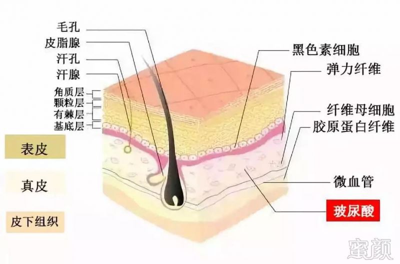 https://img.miyanlife.com/mnt/timg/181002/11241J402-2.jpg