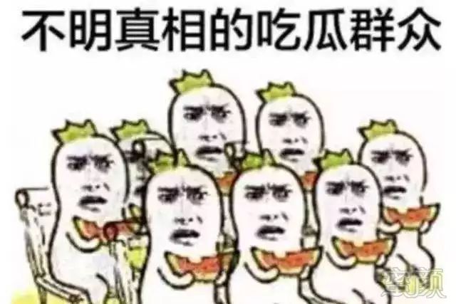 案例图片