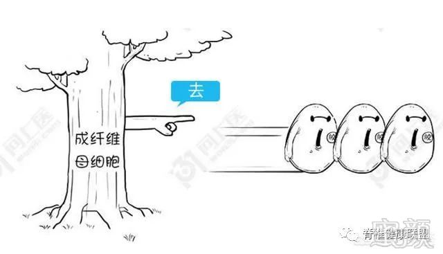 https://img.miyanlife.com/mnt/timg/181002/11500514J-1.jpg