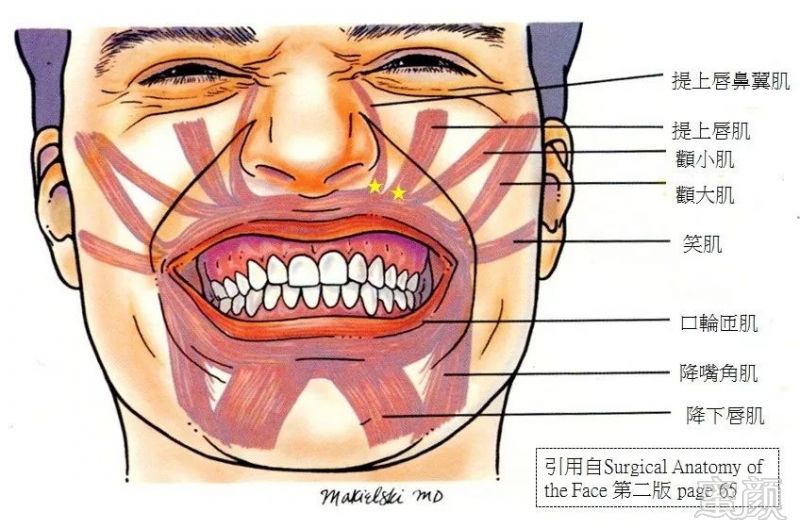 https://img.miyanlife.com/mnt/timg/181003/105Q33160-6.jpg