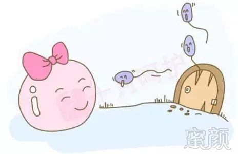 https://img.miyanlife.com/mnt/timg/181003/1101135W2-1.jpg
