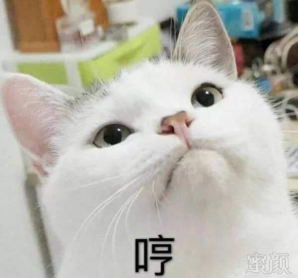 https://img.miyanlife.com/mnt/timg/181003/112R2CV-2.jpg