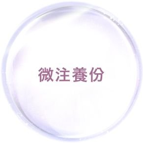 https://img.miyanlife.com/mnt/timg/181004/0959132C6-12.jpg