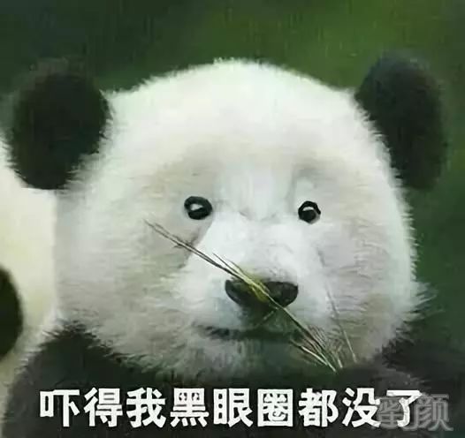 https://img.miyanlife.com/mnt/timg/181004/0U4435592-0.jpg