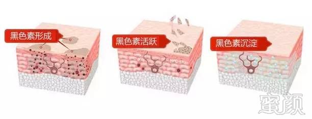 https://img.miyanlife.com/mnt/timg/181004/0U443B18-2.jpg