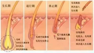 案例图片