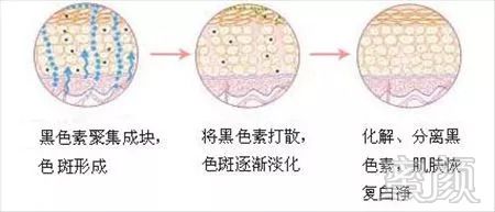 https://img.miyanlife.com/mnt/timg/181004/1059232253-2.jpg
