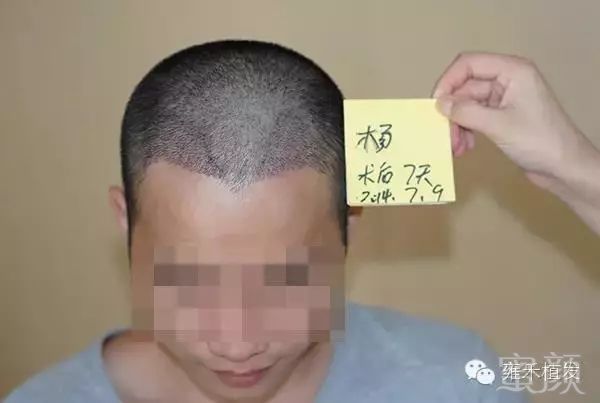 https://img.miyanlife.com/mnt/timg/181004/110551K06-5.jpg
