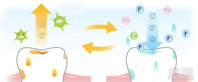 https://img.miyanlife.com/mnt/timg/181005/11193M5V-5.jpg