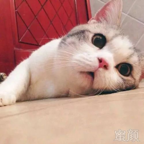 https://img.miyanlife.com/mnt/timg/181005/111I1I32-1.jpg