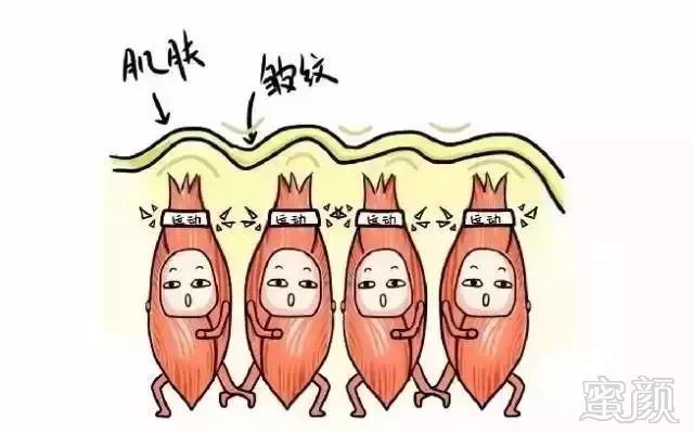 https://img.miyanlife.com/mnt/timg/181005/1132361927-14.jpg