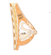 https://img.miyanlife.com/mnt/timg/181005/113452JD-6.jpg