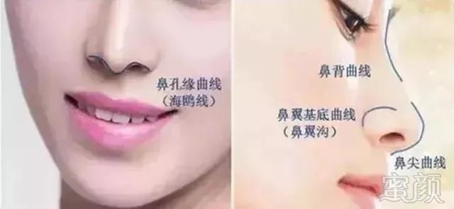 https://img.miyanlife.com/mnt/timg/181005/114HIK7-4.jpg