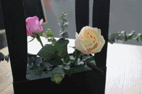 https://img.miyanlife.com/mnt/timg/181005/114T2K64-2.jpg