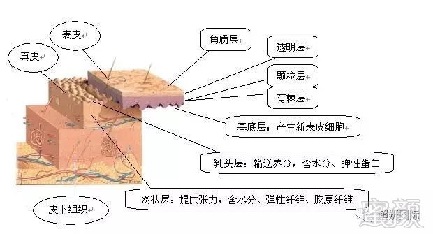 案例图片