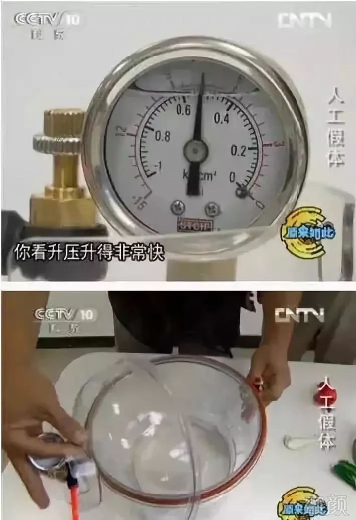 案例图片