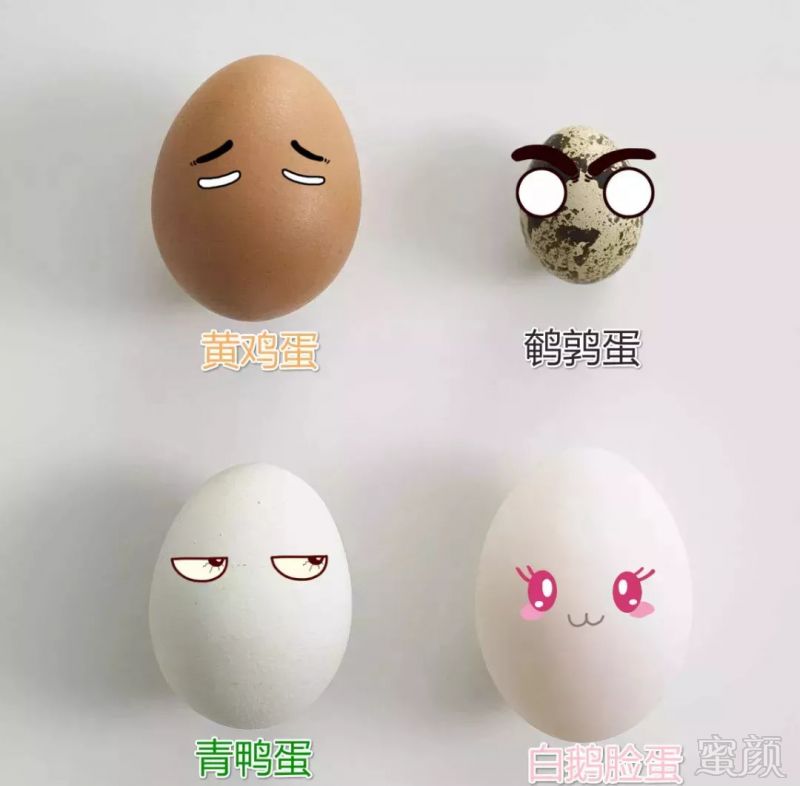 https://img.miyanlife.com/mnt/timg/181007/1154053426-2.jpg