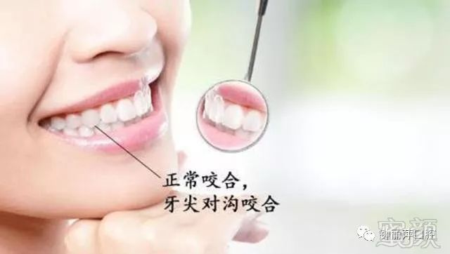 https://img.miyanlife.com/mnt/timg/181007/12161C392-5.jpg