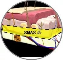 https://img.miyanlife.com/mnt/timg/181007/124314M09-14.jpg