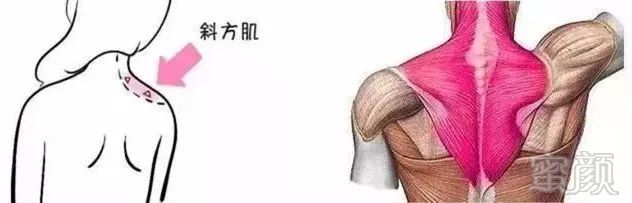 https://img.miyanlife.com/mnt/timg/181008/1213045446-3.jpg