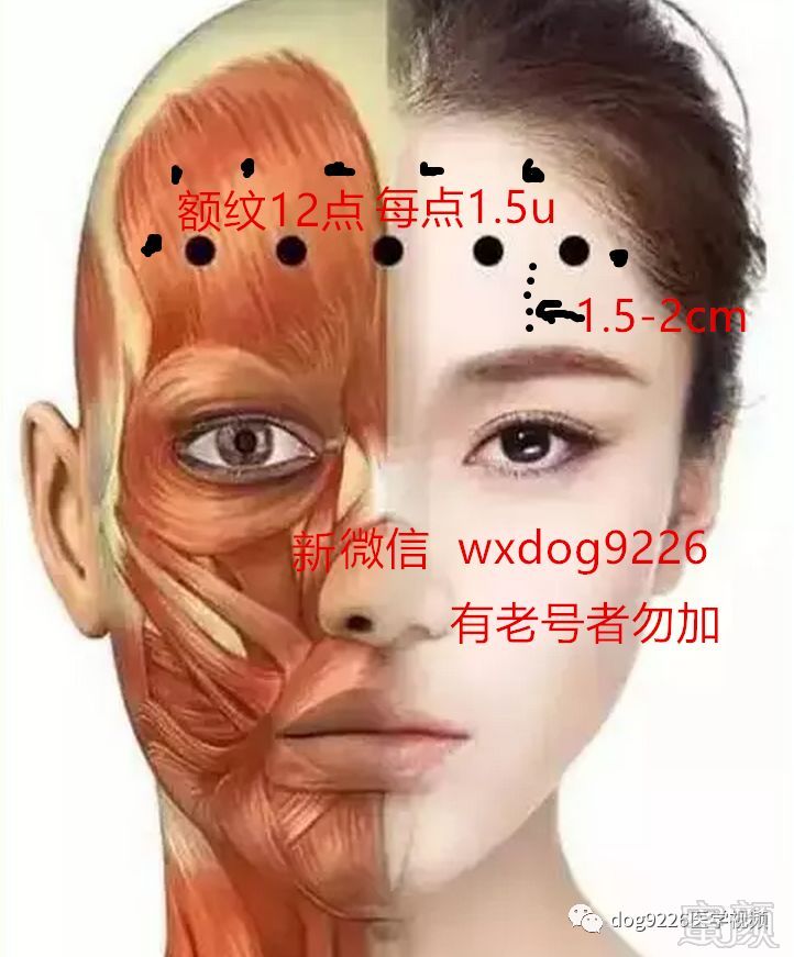 https://img.miyanlife.com/mnt/timg/181008/1213531108-0.jpg