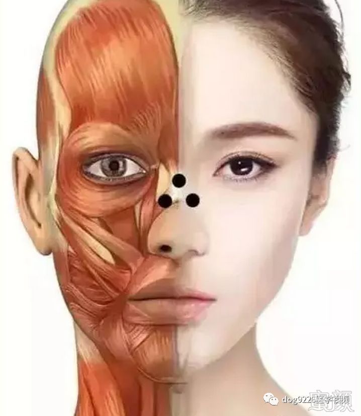 https://img.miyanlife.com/mnt/timg/181008/1213531R8-5.jpg