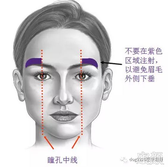 https://img.miyanlife.com/mnt/timg/181008/121353Gb-1.jpg