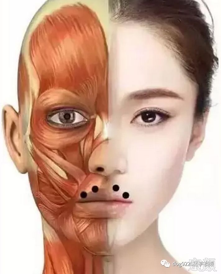 https://img.miyanlife.com/mnt/timg/181008/1213541b8-8.jpg