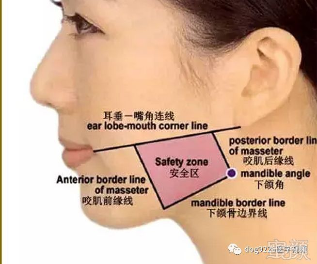 https://img.miyanlife.com/mnt/timg/181008/1213543216-12.jpg