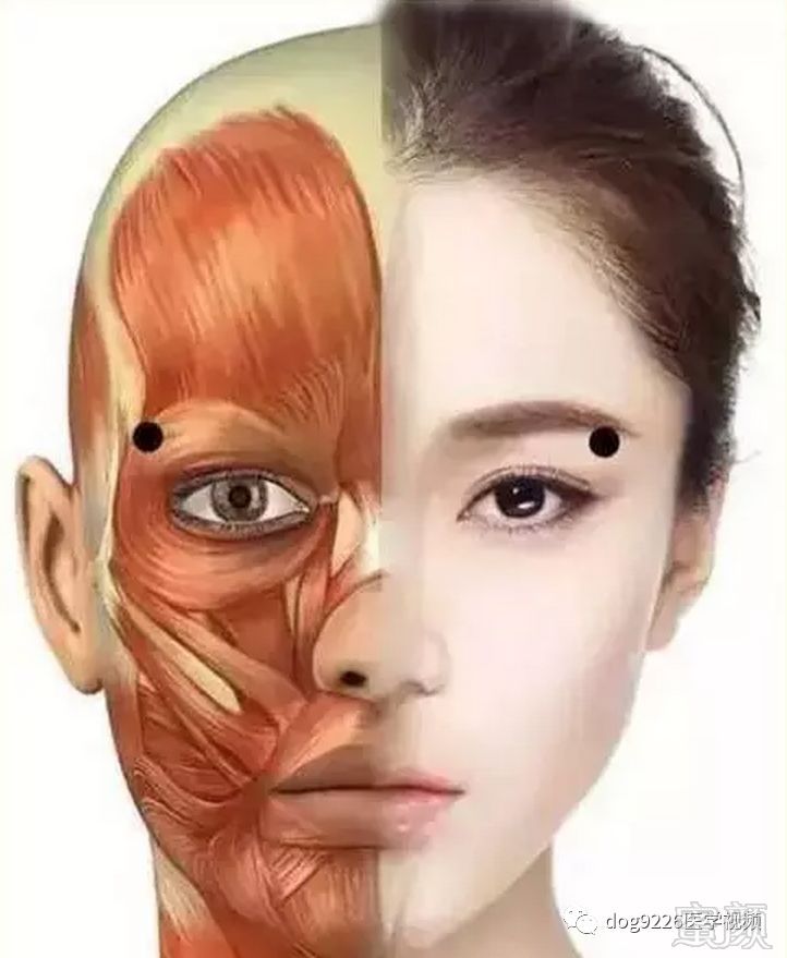 https://img.miyanlife.com/mnt/timg/181008/1213545912-9.jpg