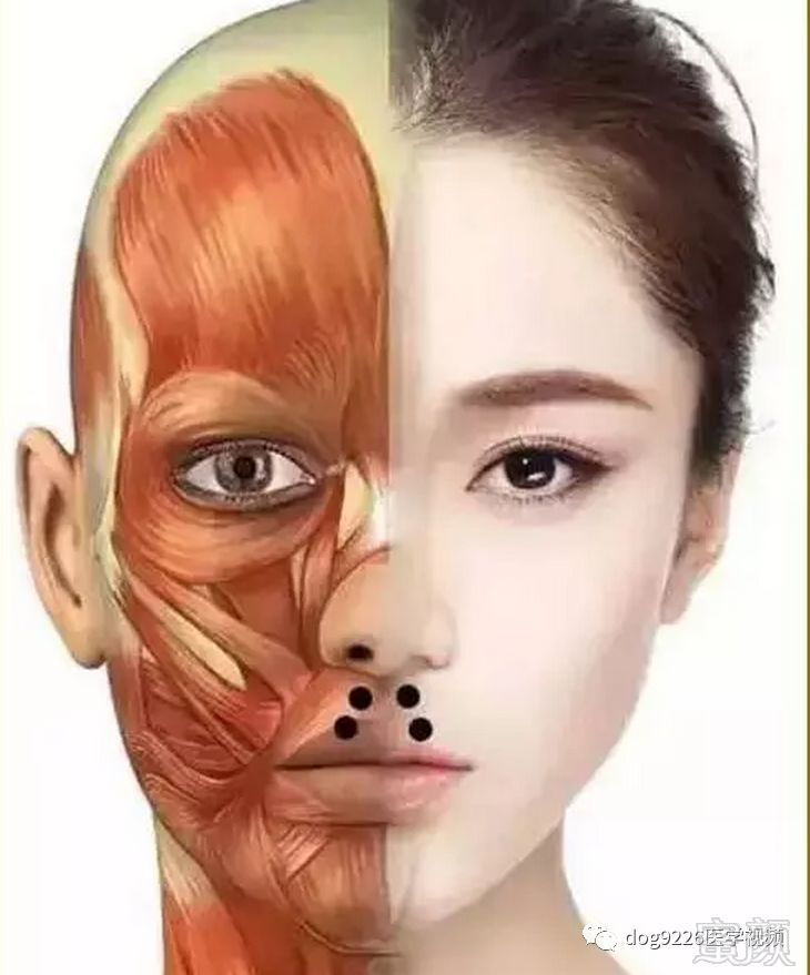 https://img.miyanlife.com/mnt/timg/181008/1213545R1-7.jpg
