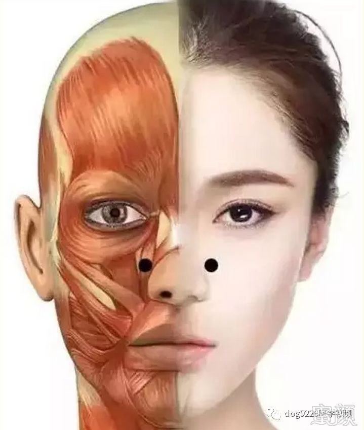 https://img.miyanlife.com/mnt/timg/181008/121354C21-6.jpg
