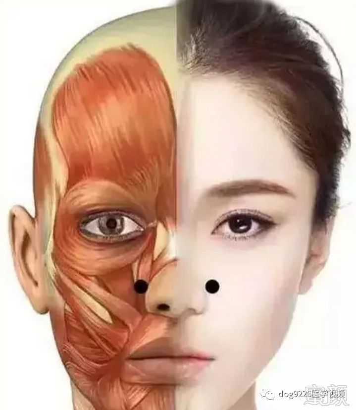 https://img.miyanlife.com/mnt/timg/181008/121354D49-11.jpg