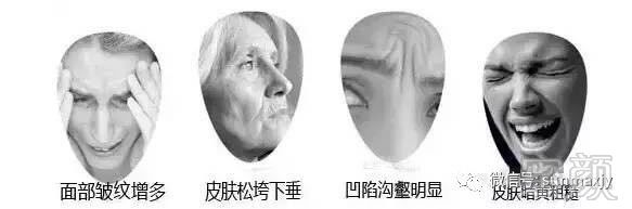 https://img.miyanlife.com/mnt/timg/181009/1236432529-1.jpg