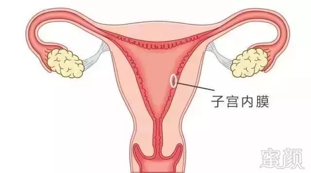 https://img.miyanlife.com/mnt/timg/181009/1304062Z8-4.jpg