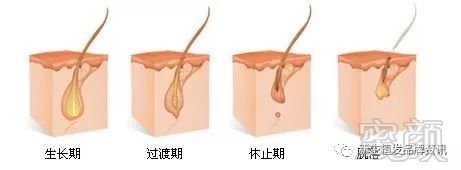 https://img.miyanlife.com/mnt/timg/181010/113HA128-3.jpg