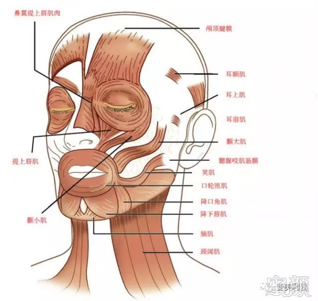 https://img.miyanlife.com/mnt/timg/181010/1625394423-9.jpg