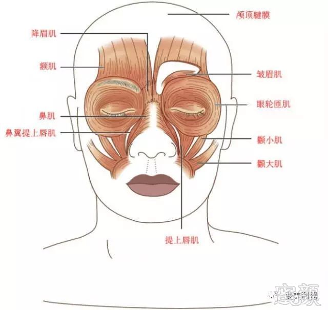 https://img.miyanlife.com/mnt/timg/181010/16253a4F-8.jpg