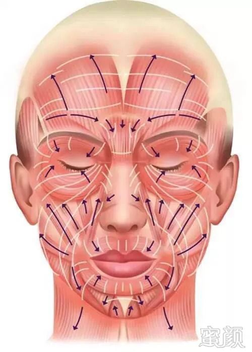 https://img.miyanlife.com/mnt/timg/181011/12461343W-6.jpg