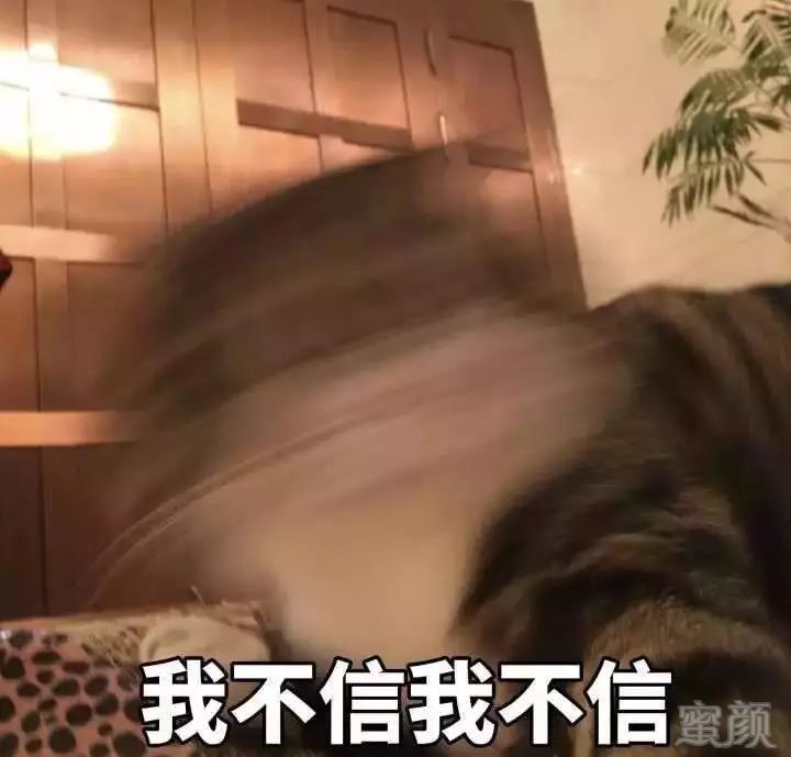 https://img.miyanlife.com/mnt/timg/181011/1311225U7-10.jpg