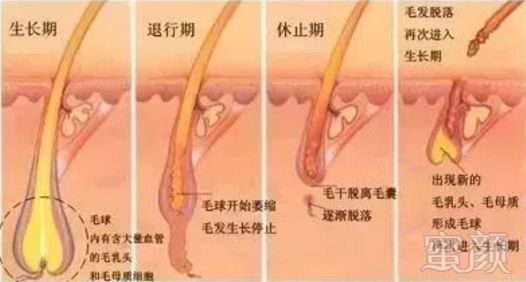 案例图片