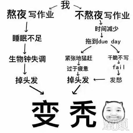 案例图片