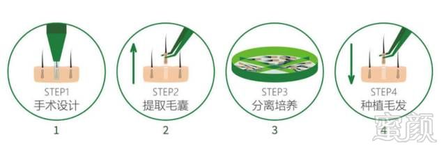 https://img.miyanlife.com/mnt/timg/181012/12564W913-4.jpg