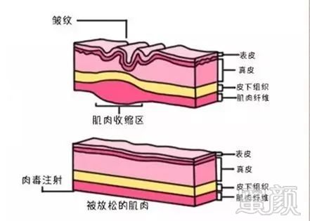 https://img.miyanlife.com/mnt/timg/181013/1109364042-3.jpg