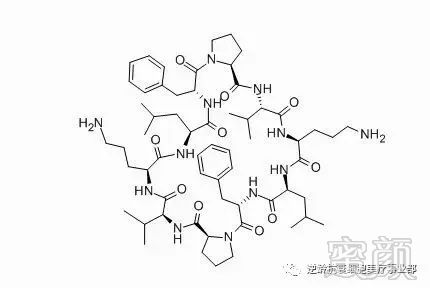 案例图片