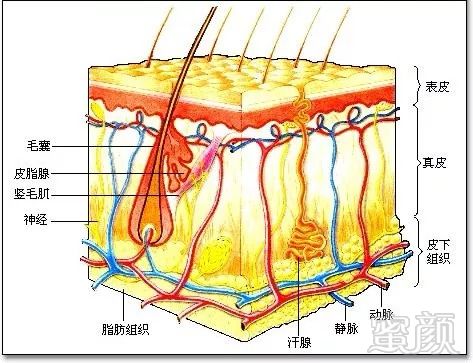 https://img.miyanlife.com/mnt/timg/181017/11424913P-3.jpg