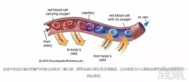https://img.miyanlife.com/mnt/timg/181017/114250I52-6.jpg