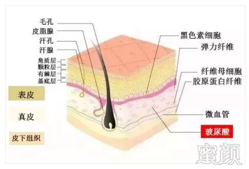 https://img.miyanlife.com/mnt/timg/181017/120U63209-8.jpg