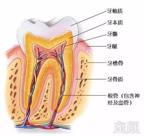 案例图片